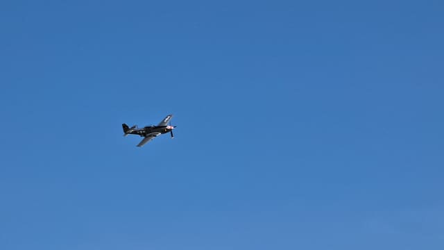 - Warbird