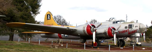 - Warbird