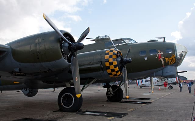 - Warbird