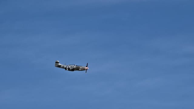 - Warbird