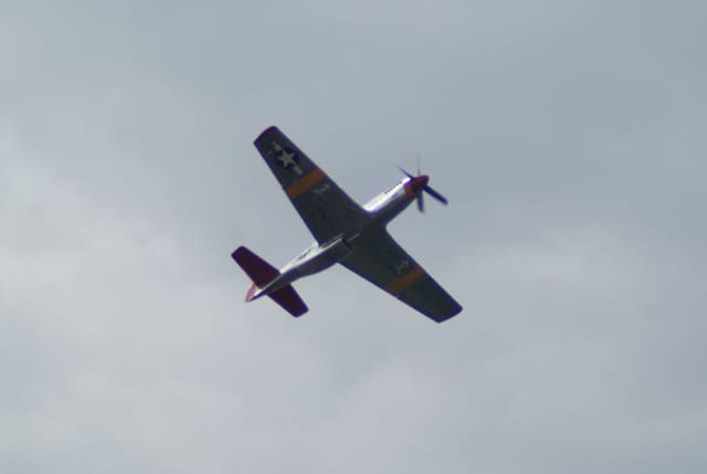 - Warbird