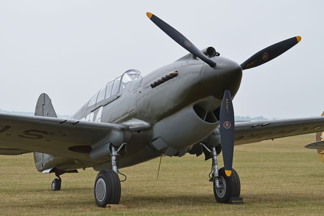 - Warbird