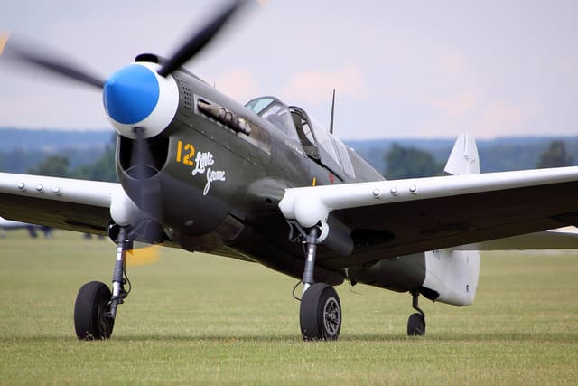 - Warbird