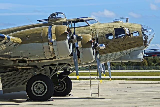 - Warbird