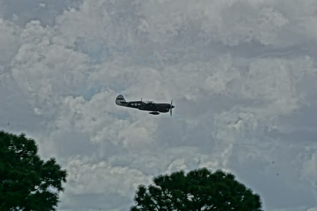 - Warbird