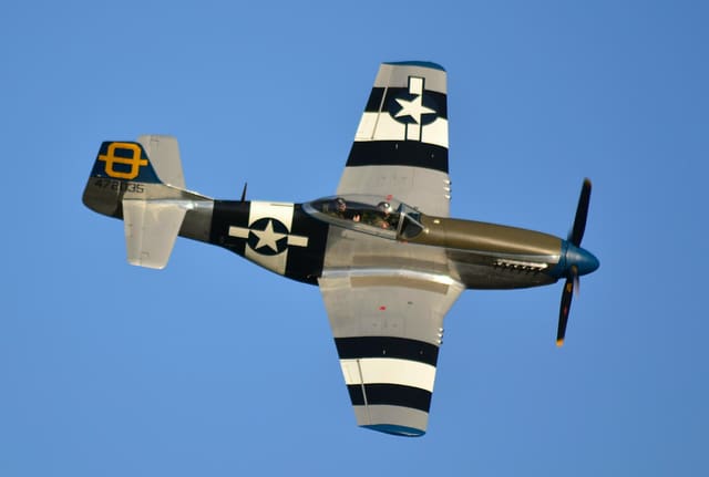 - Warbird