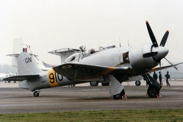 - Warbird
