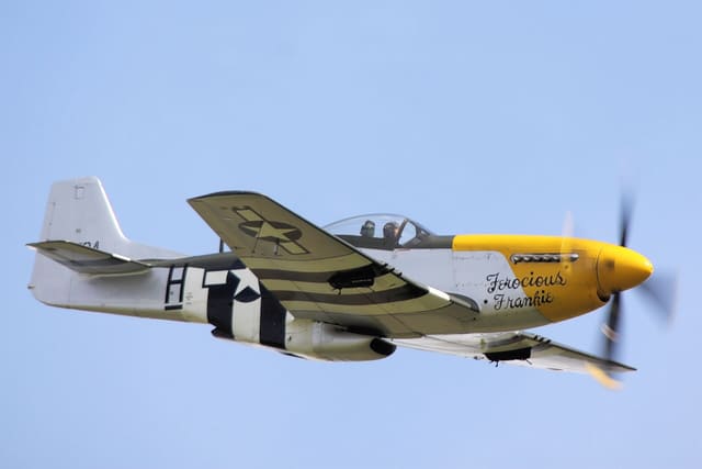 - Warbird