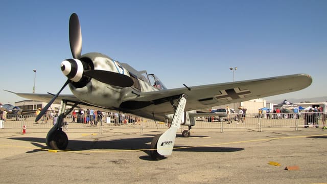 - Warbird