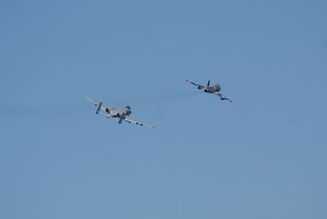 - Warbird