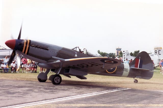 - Warbird