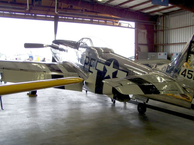 - Warbird