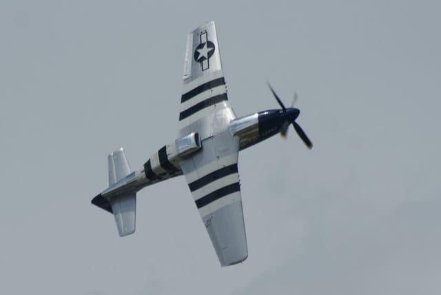 - Warbird