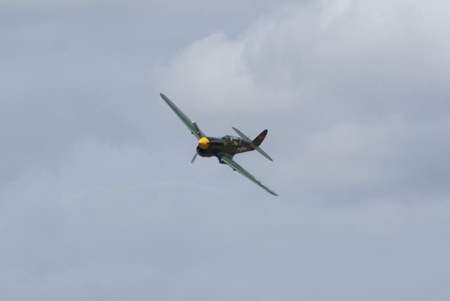 - Warbird