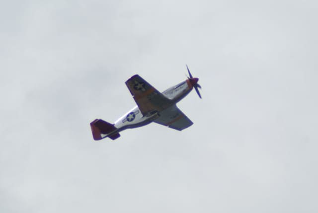 - Warbird