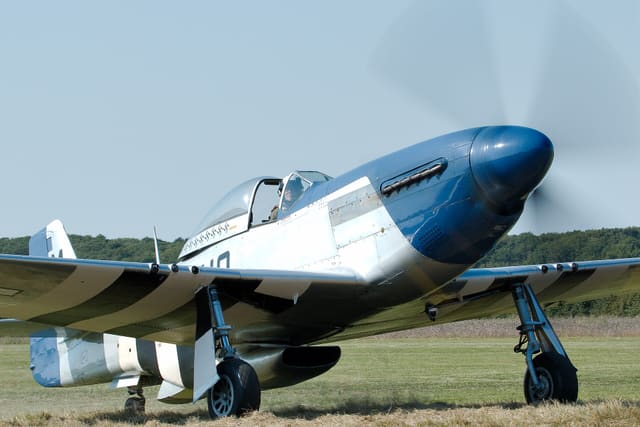 - Warbird