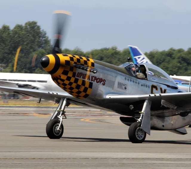 - Warbird