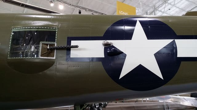 - Warbird