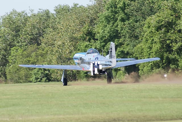 - Warbird