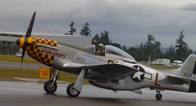 - Warbird