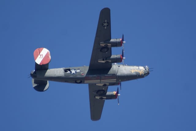 - Warbird