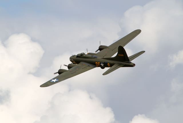 - Warbird