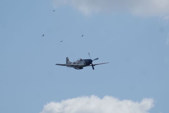 - Warbird
