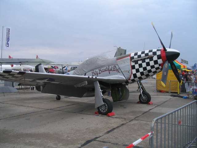 - Warbird