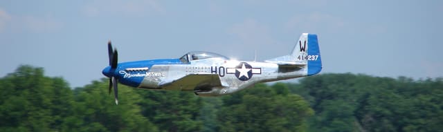 - Warbird