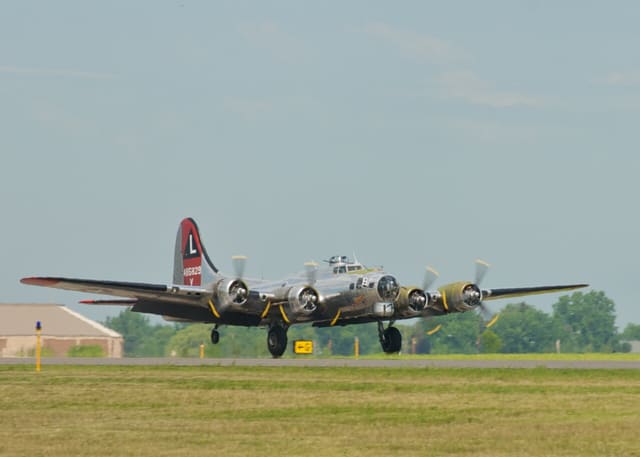 - Warbird