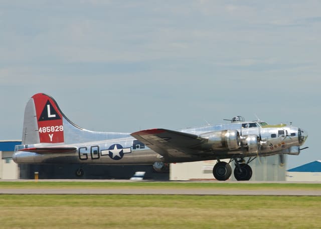 - Warbird