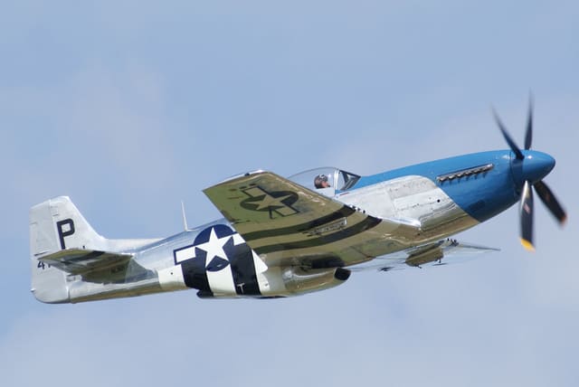 - Warbird