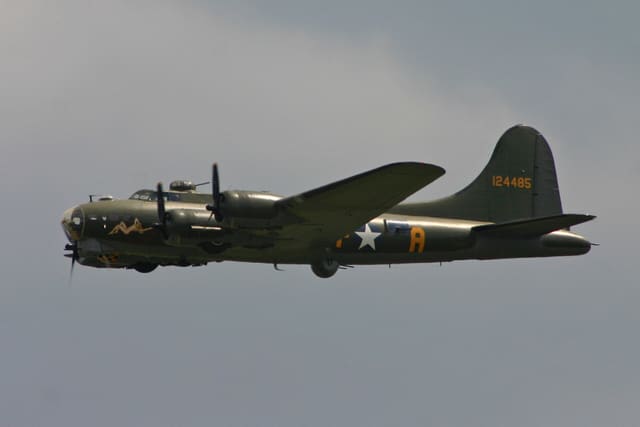 - Warbird