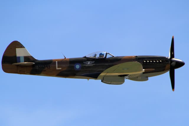 - Warbird