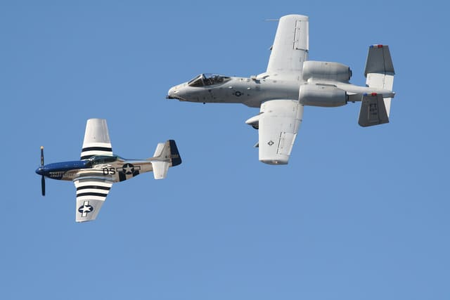 - Warbird