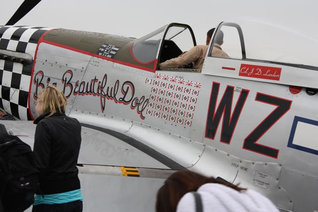 - Warbird