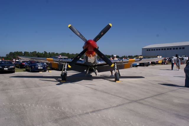 - Warbird