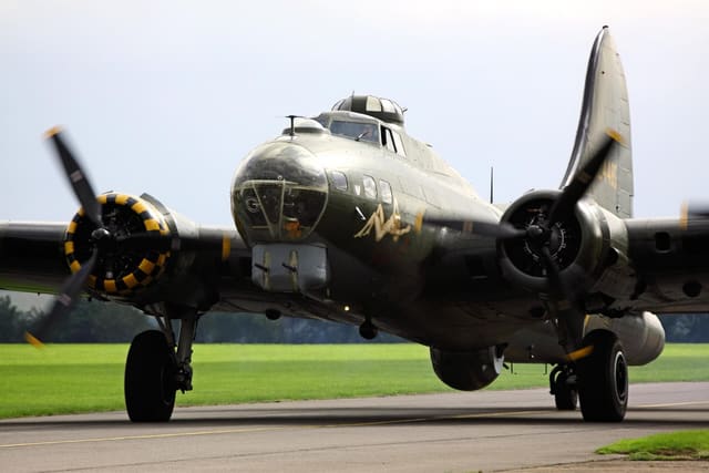 - Warbird