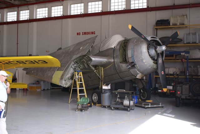 - Warbird