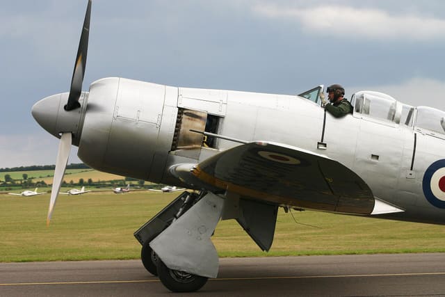 - Warbird