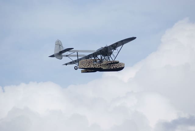 - Single-engine aircraft