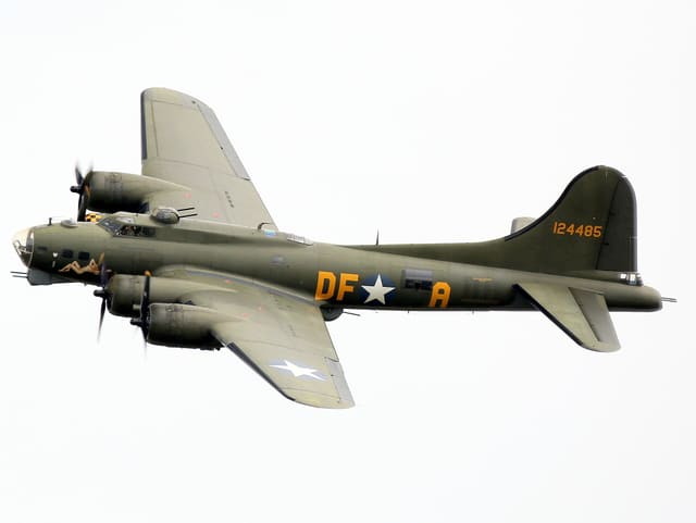 - Warbird