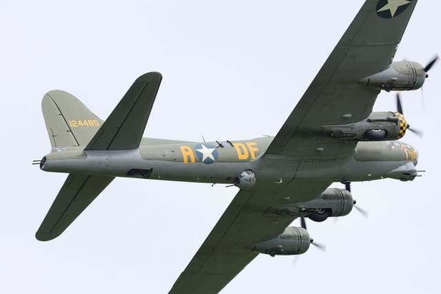 - Warbird