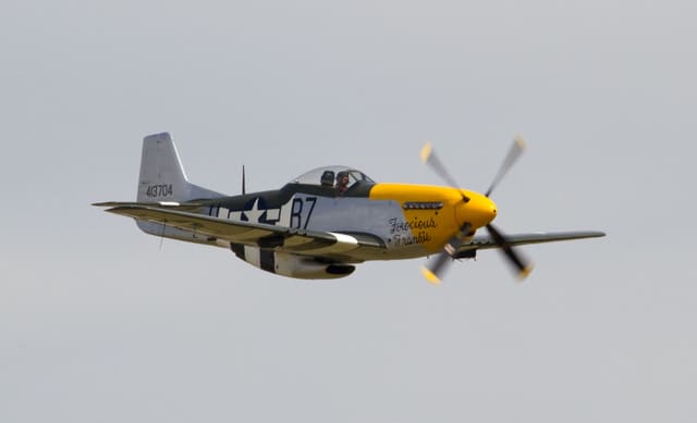 - Warbird
