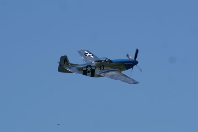 - Warbird