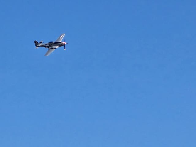 - Warbird