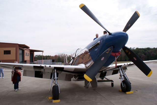 - Warbird