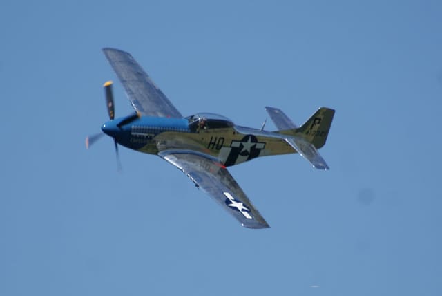 - Warbird
