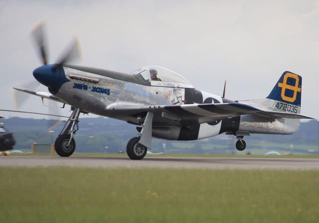 - Warbird