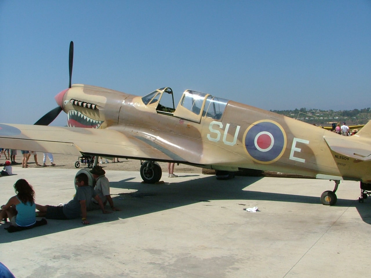 joefrogger's best shot — N94466